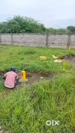 plots selling
