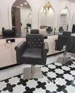 Salon Chair