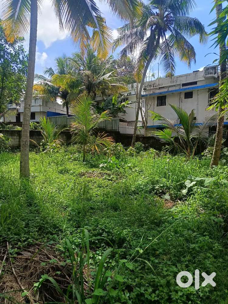 7 cent residential land for sale karyavattom kurishadi.