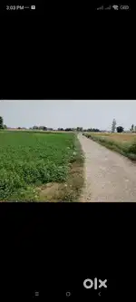 Plot opposite to SSS Resort(RS Pura Jammu)