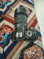 Nikon 31d price 20000