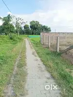Land for sale near Moran Town. Genuine buyers preferred.