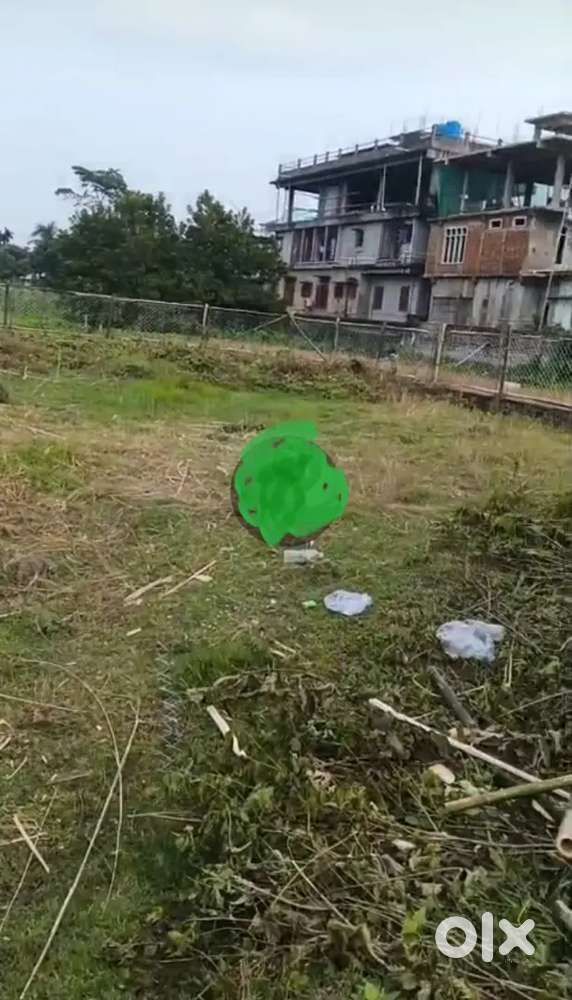 Near Mangaldai college