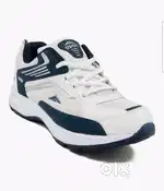 Sports shoe UK11