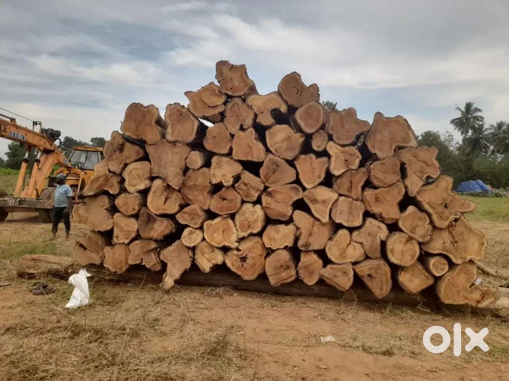 Trolley bencha wood cutting mishtri