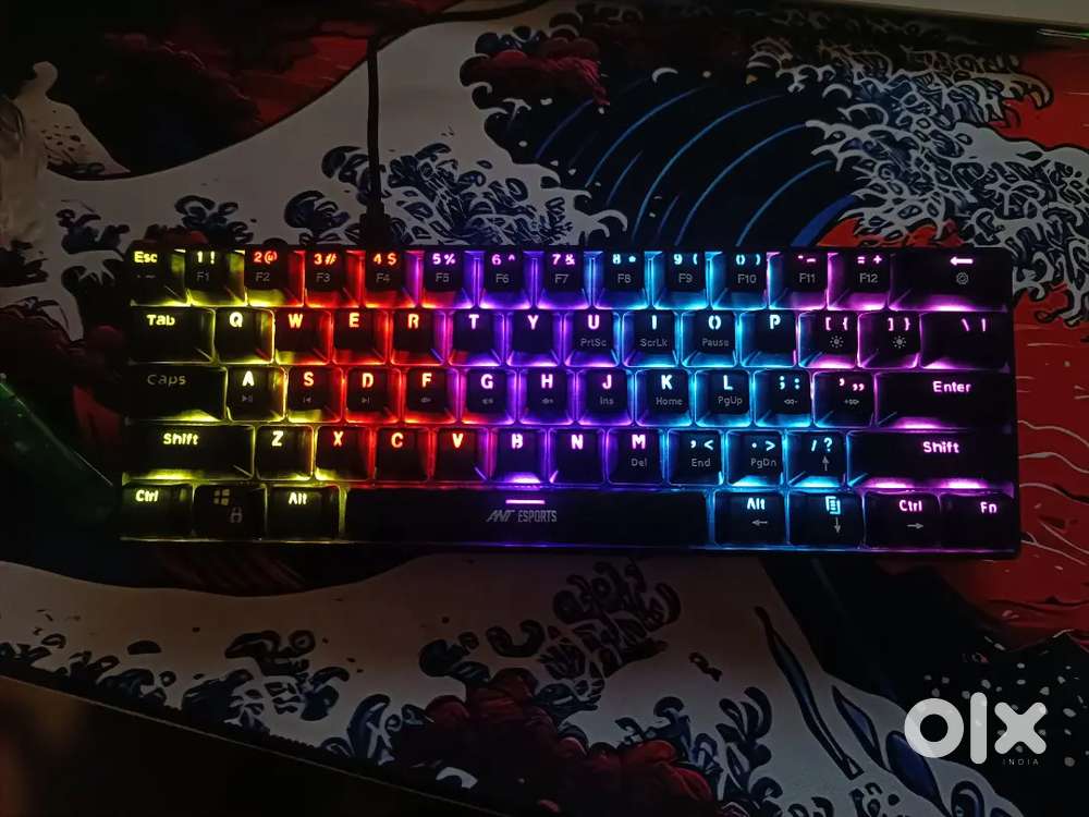 Ant eSports mechanical Gaming Keyboard. MRP 1700 and get it for 1100