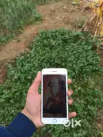 iPhone 7 plus
