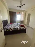 Need Female Flatmate