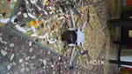 Dji mini3 standard pack