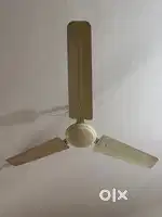 Ceiling fans