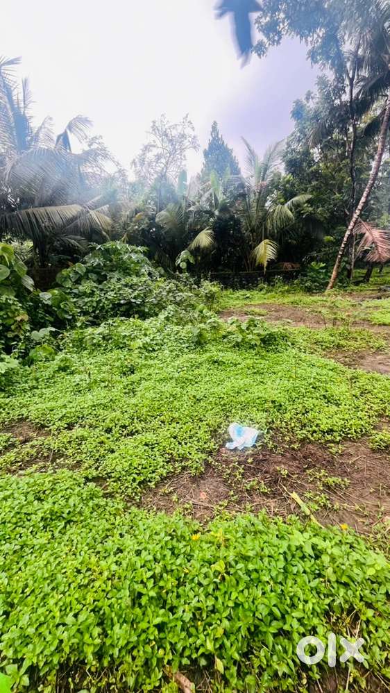 7.5 cent house plot @ 900 meter from chembarakky junction