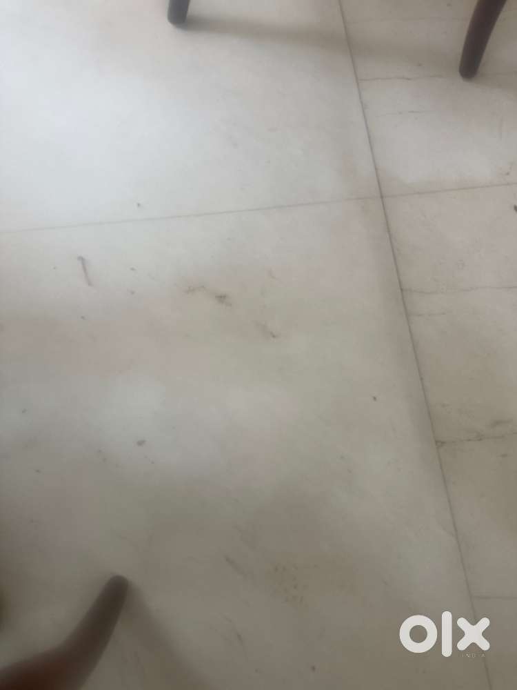 Experience dental assistant required