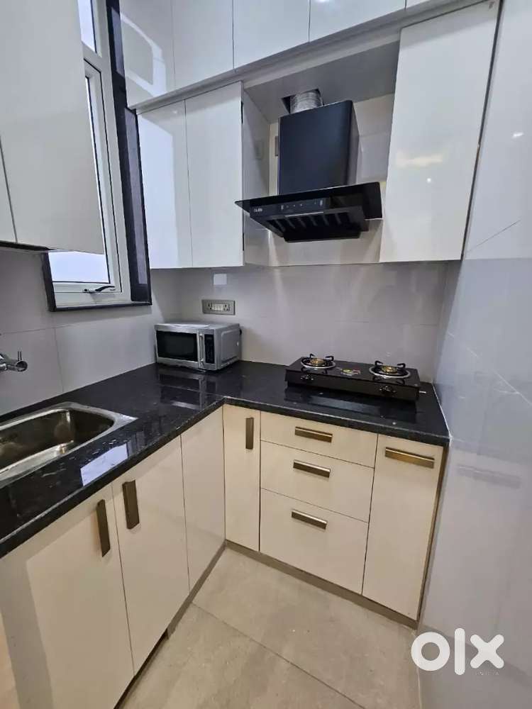 Amrapali dream velky