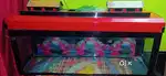 Fish Aquarium with Top cover