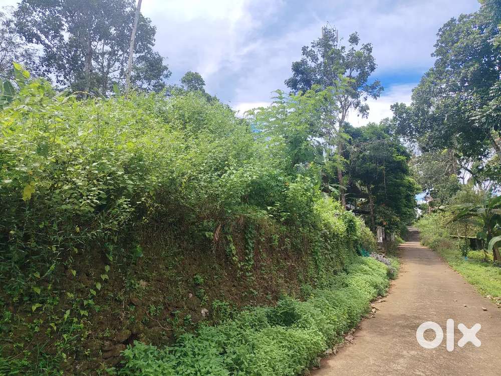 വെള്ളപ്പാറ ഞക്കുകാവ് Near catholica church