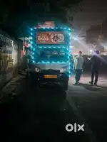 Chinese momo specialist cook
