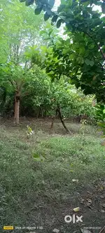 20 feet road light pipe line nearest by gopal Bagh city dabra