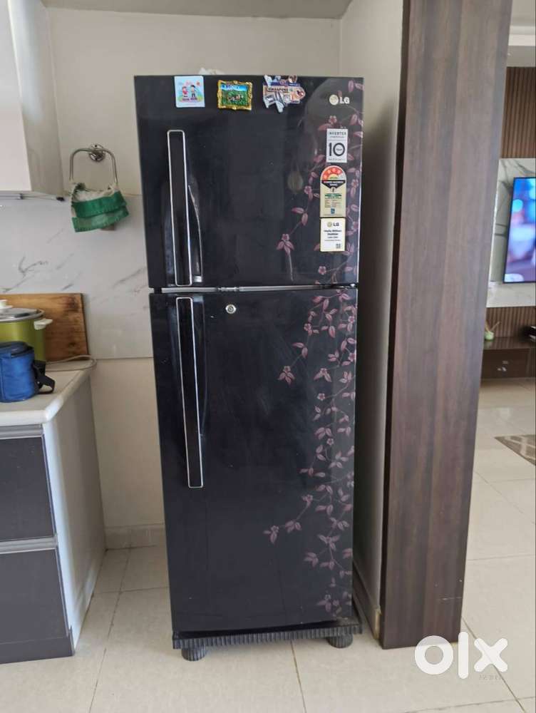 LG 4-Star Double Door Fridge
