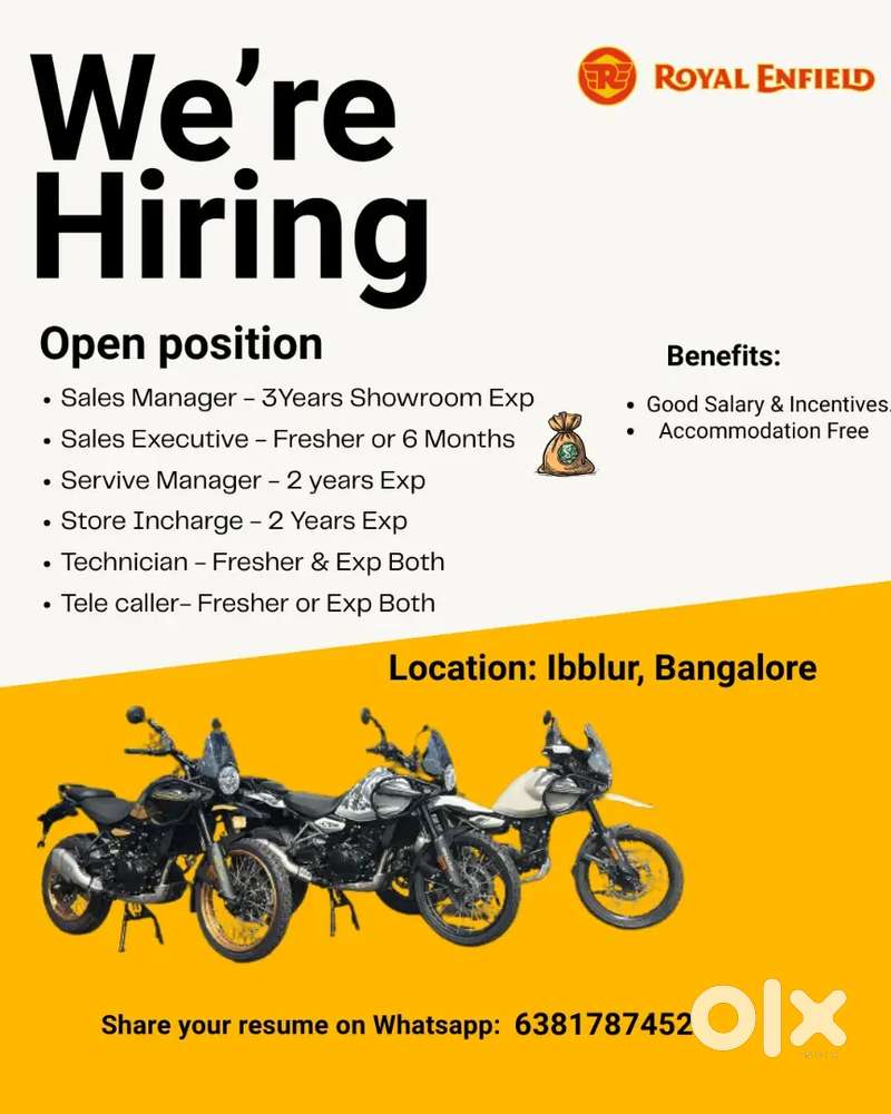 Sales Executive & Manage RE