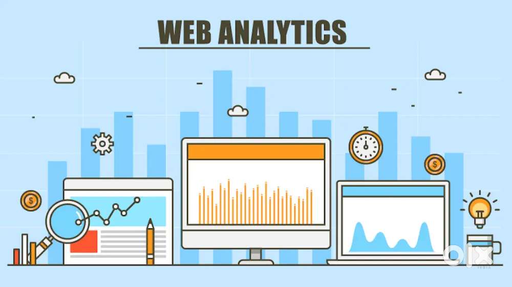 Web analytics professional