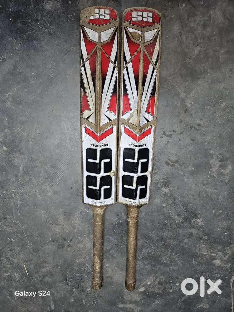 Ss Master best 2 bat