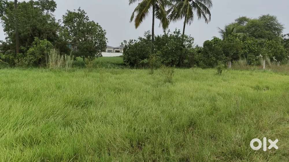 Two plots non layout sites