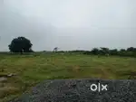 Farm plots with Resort &Swimming Pool at Sadashivpat