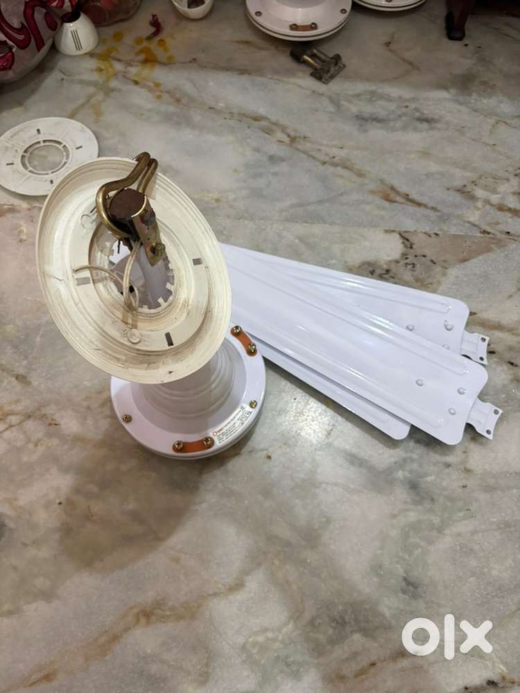 Ceiling Fan