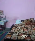 Nead a room partner boy and girl
