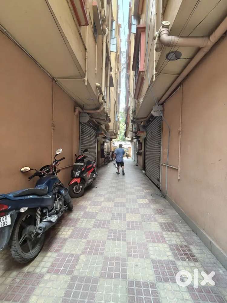 Ready to move properly