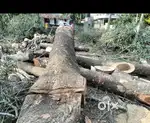 Karimthakara wood.