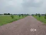 Kohka road rungta college ke pas