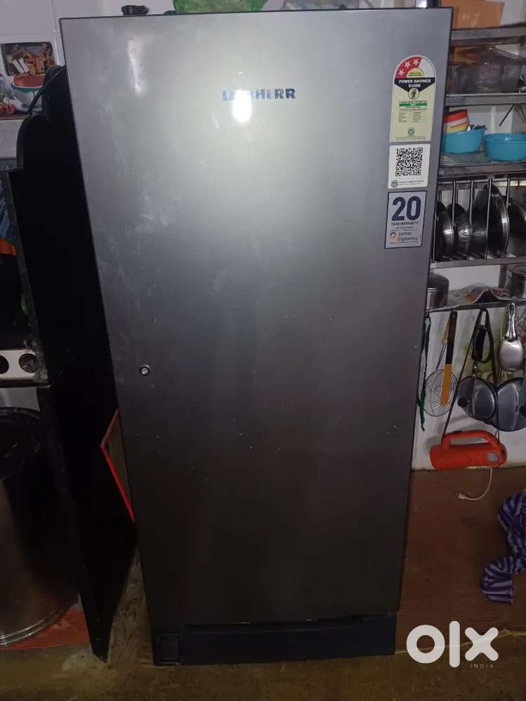Fridge is best