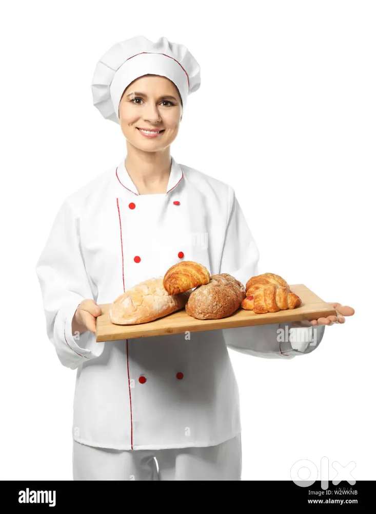 Need Bakery chief