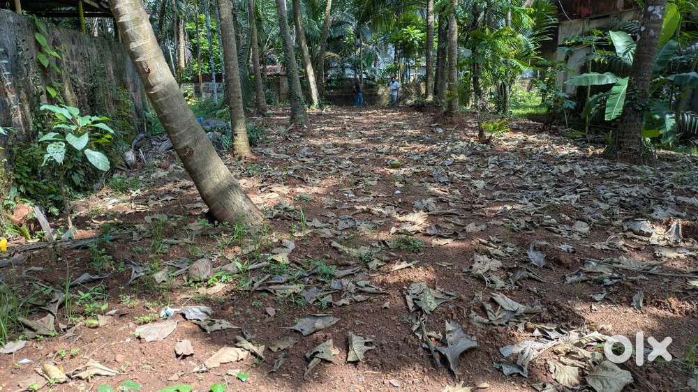 House plot for sale in East Nadakkaav