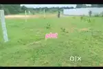Plot for sale100 sqds in moinabad sajjanpally