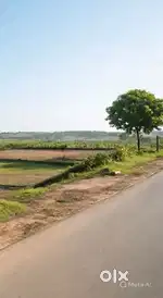 Settlement plot for sale in curca