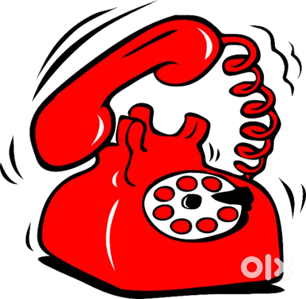 Female candidate for calling to customer speaking in Punjabi and hindi