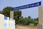 THAMARAI PAKKAM VENGAL