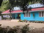 MUNNAR ANACHAL SENKULAM 50 CENT 1600 SQFT HOUSE 55 LAKHS