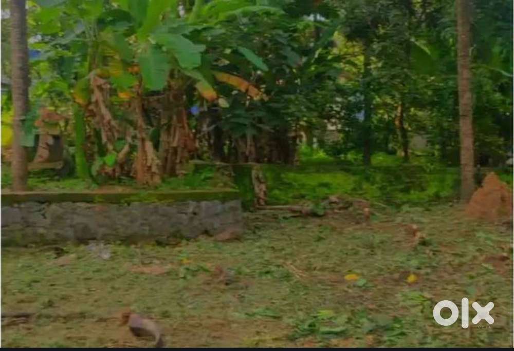 18 cents land at Mullur near Chittilappilly