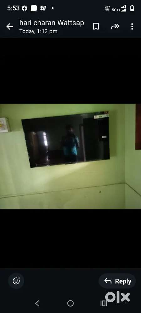 TCL 43 inc