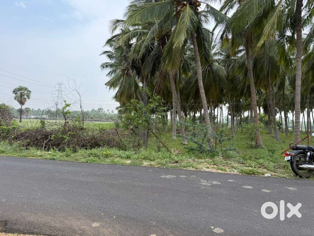 Toppu for Sale Vallioor Mannarpuram Near