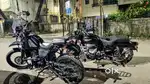 Super Condition Himalayan
