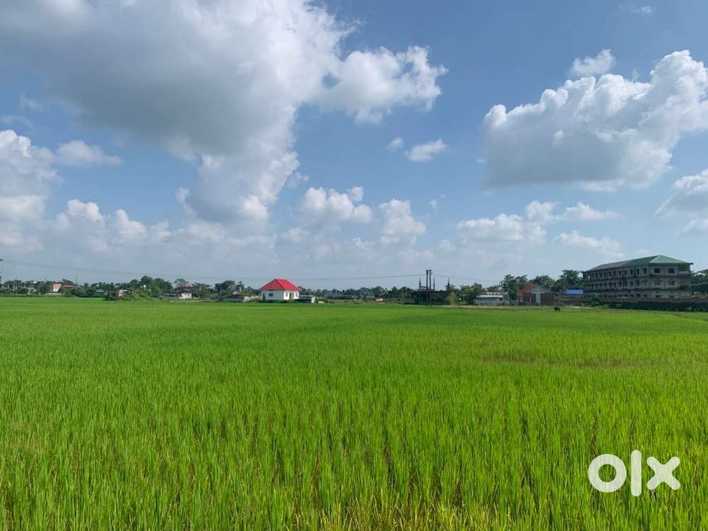 Urgent miyadi land for sale in Udalguri