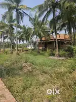 15  cent CHERUKUNNU ambalapuram