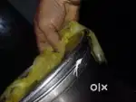 LADIESCOOCK