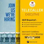 Tele caller Executive