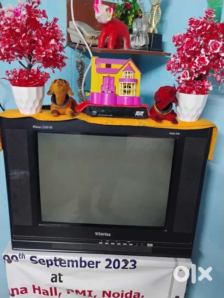 TV T SERIES