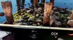 LG Moniter